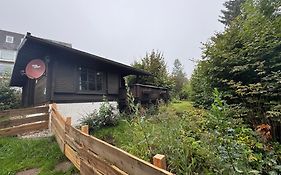 Blockhaus - Die Zwergenbaude -